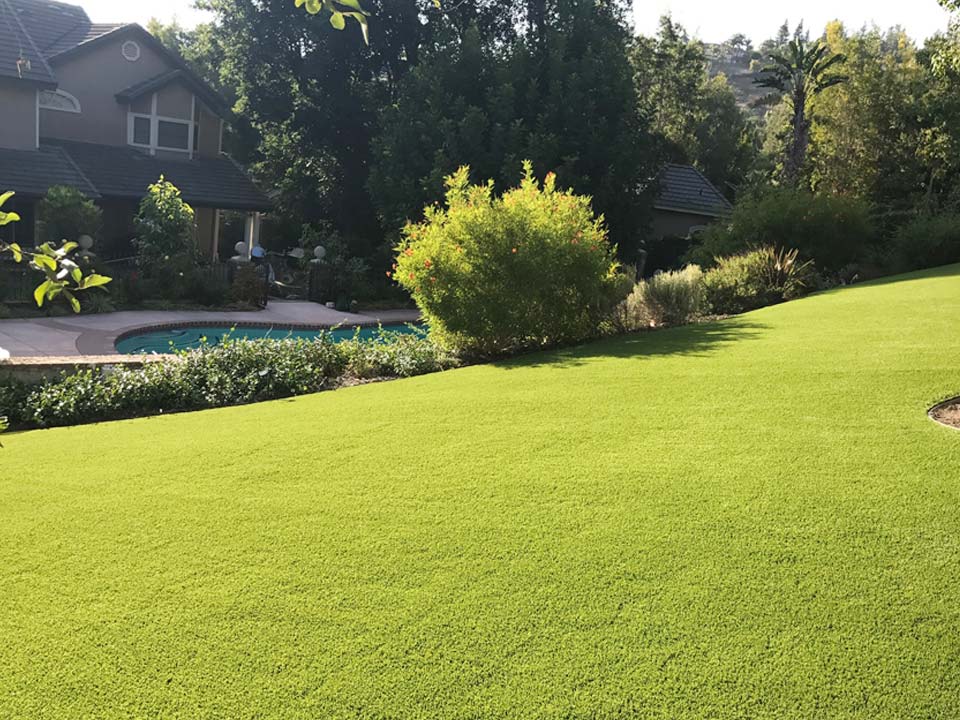Artificial Turf for Lawns in the U