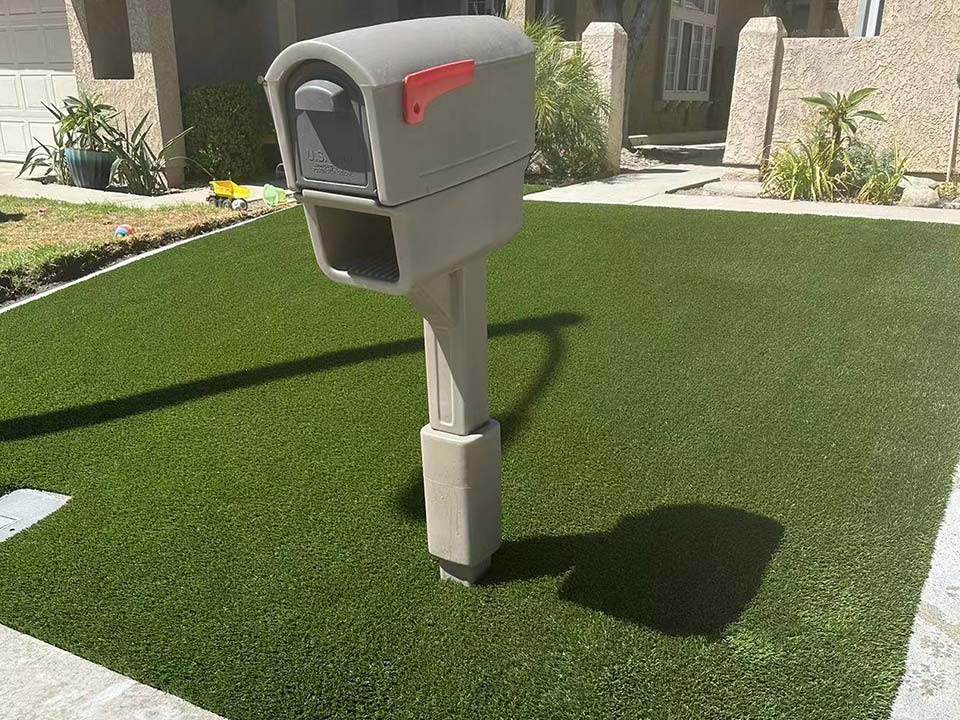 The Ideal Space for Your Dogs