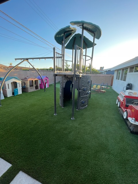 Artificial Grass Project in Harrie
